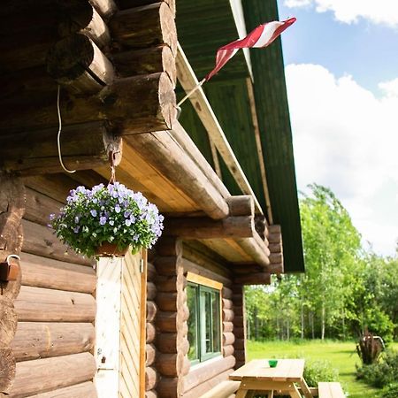 Melderi Villa Rēzekne Exterior foto