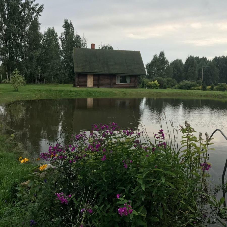Melderi Villa Rēzekne Exterior foto
